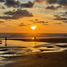 A dog walking on the beach with two people in the water.