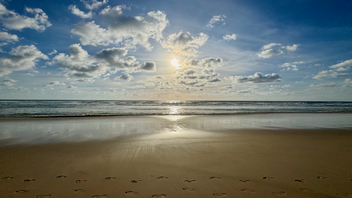 A pair of footprints are in the sand along the shoreline.