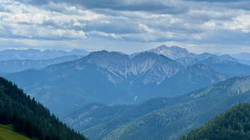 A mountain with a forest of pine trees in the background.