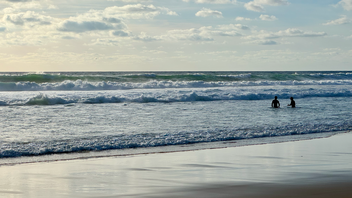 A surfer stands in the ocean next to a beach with the waves rolling in.