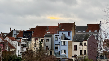 A group of old buildings with blue and red roofs are shown.