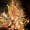 A pile of wood and embers that are burning brightly.