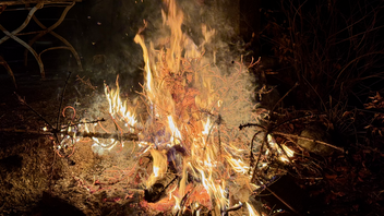 A pile of wood and embers that are burning brightly.